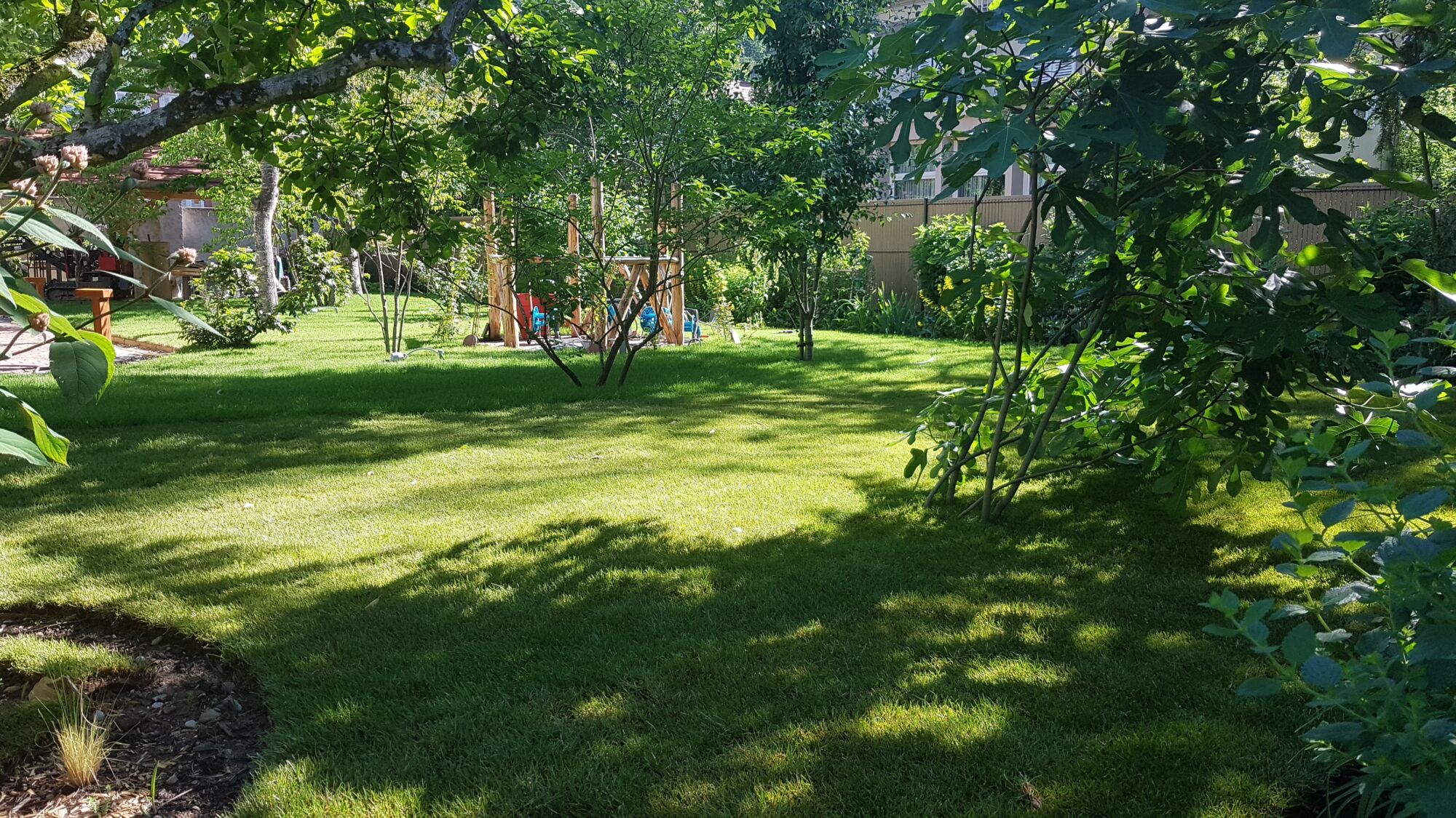 Passion Nature Plus &#038; Services : votre jardinier paysagiste passionné Wittelsheim
